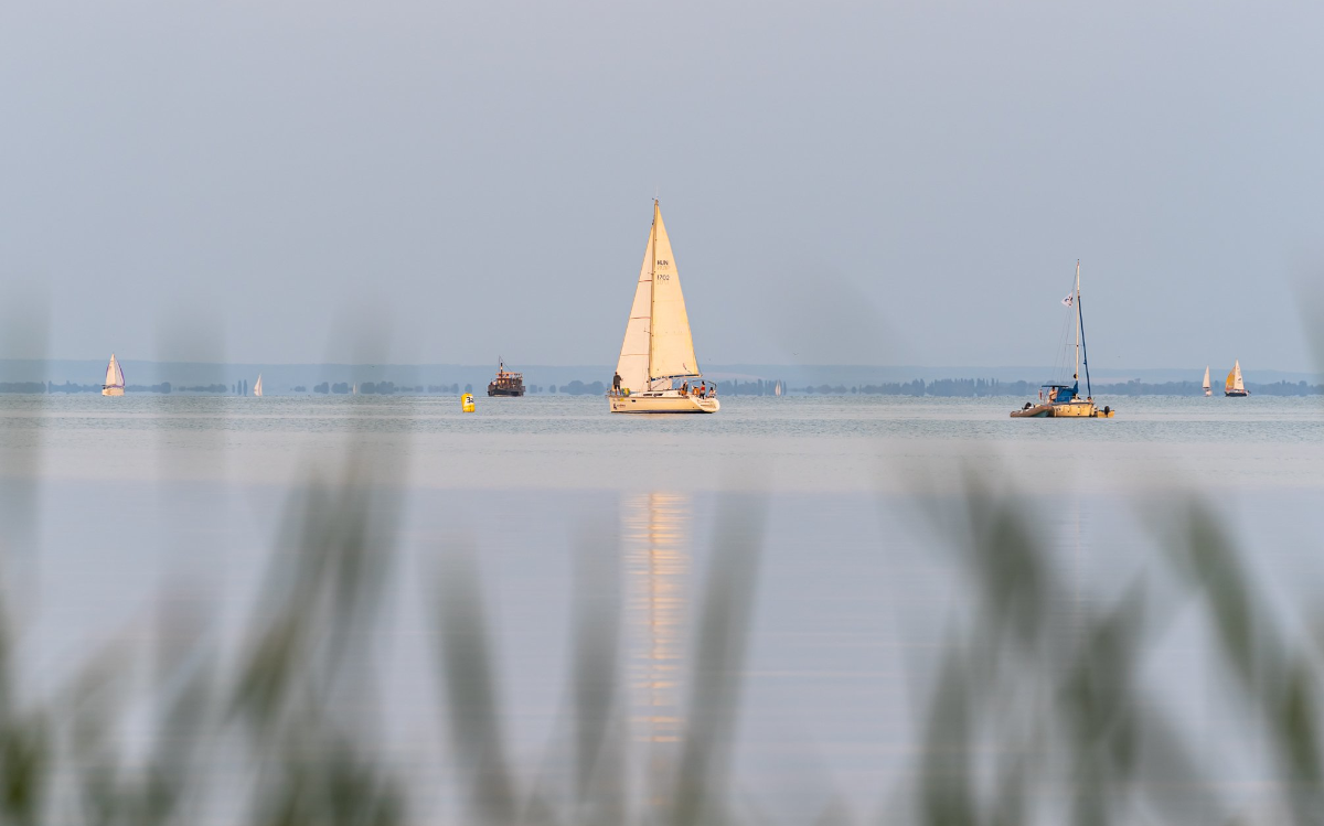 Sailing Boats on Lake Balatonn
