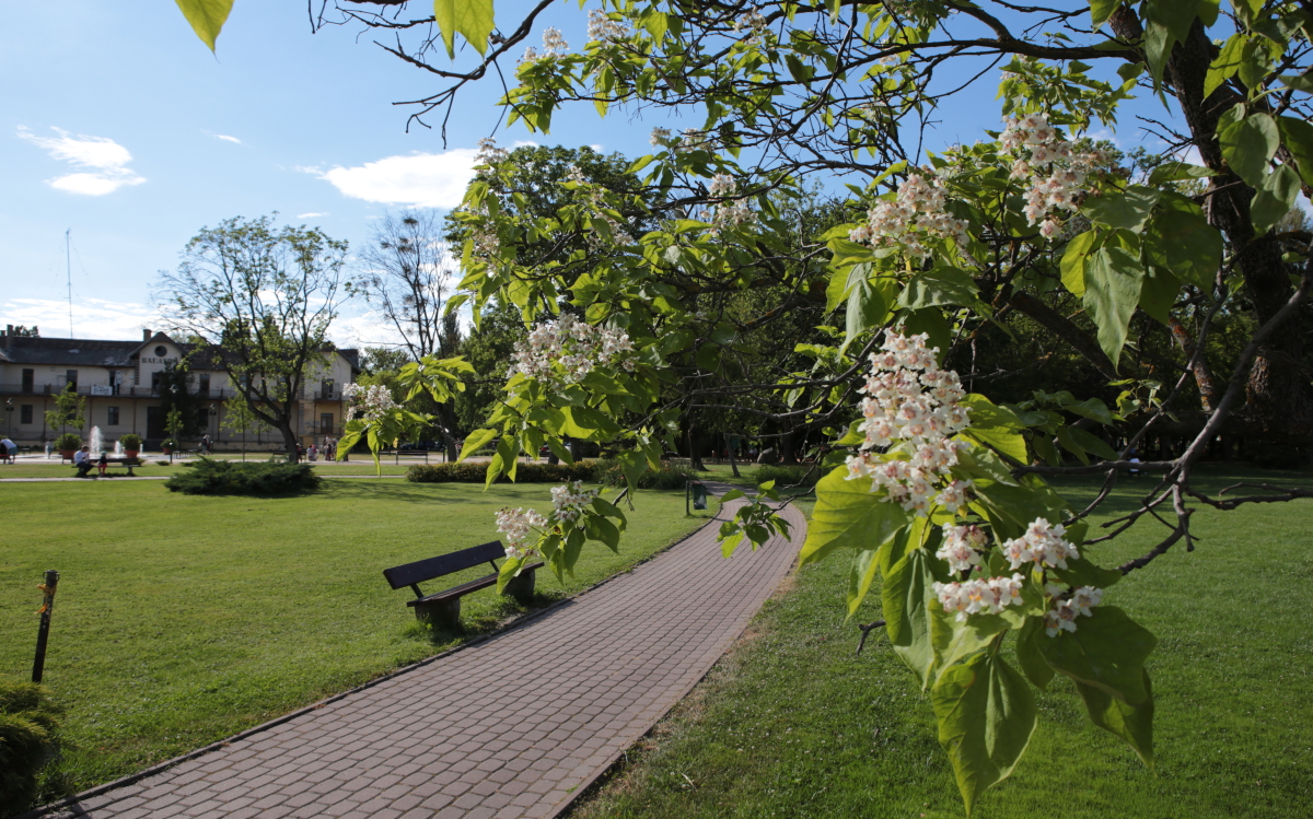 Im Frühling erblüht die Uferpromenade des Balaton.