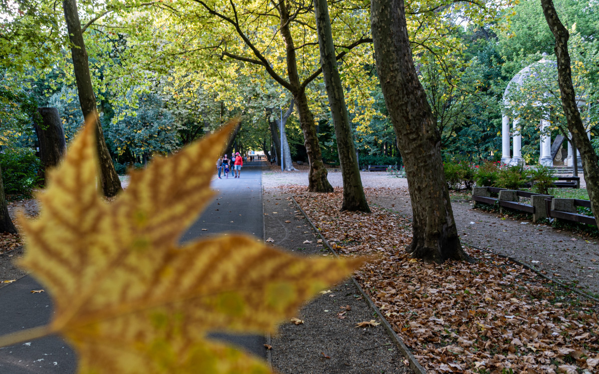 Helikon park őszi színekben