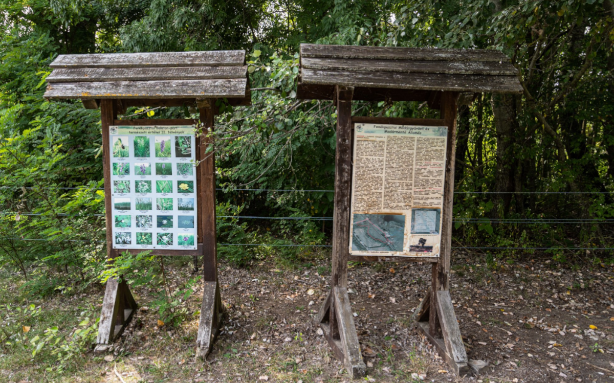 A Madárgyűrűző és Madármentő Állomásnál táblák mesélnek a környék madarairól