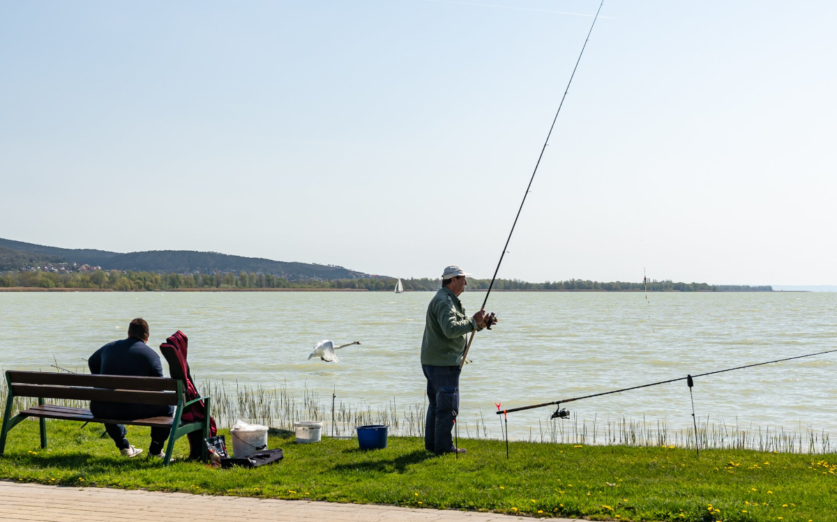 Fishing on Lake Balatonn