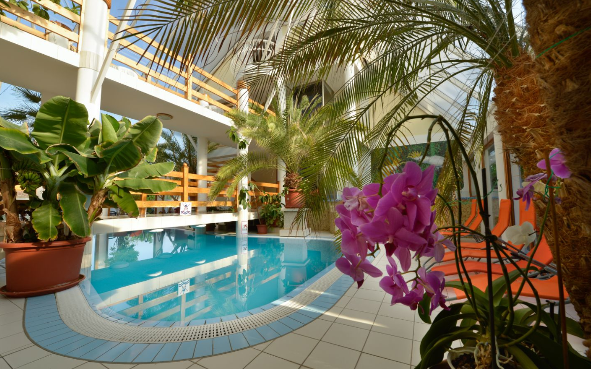 Am Pool des Wellness Hotels KAKADU können wir uns an Orchideen erfreuen.