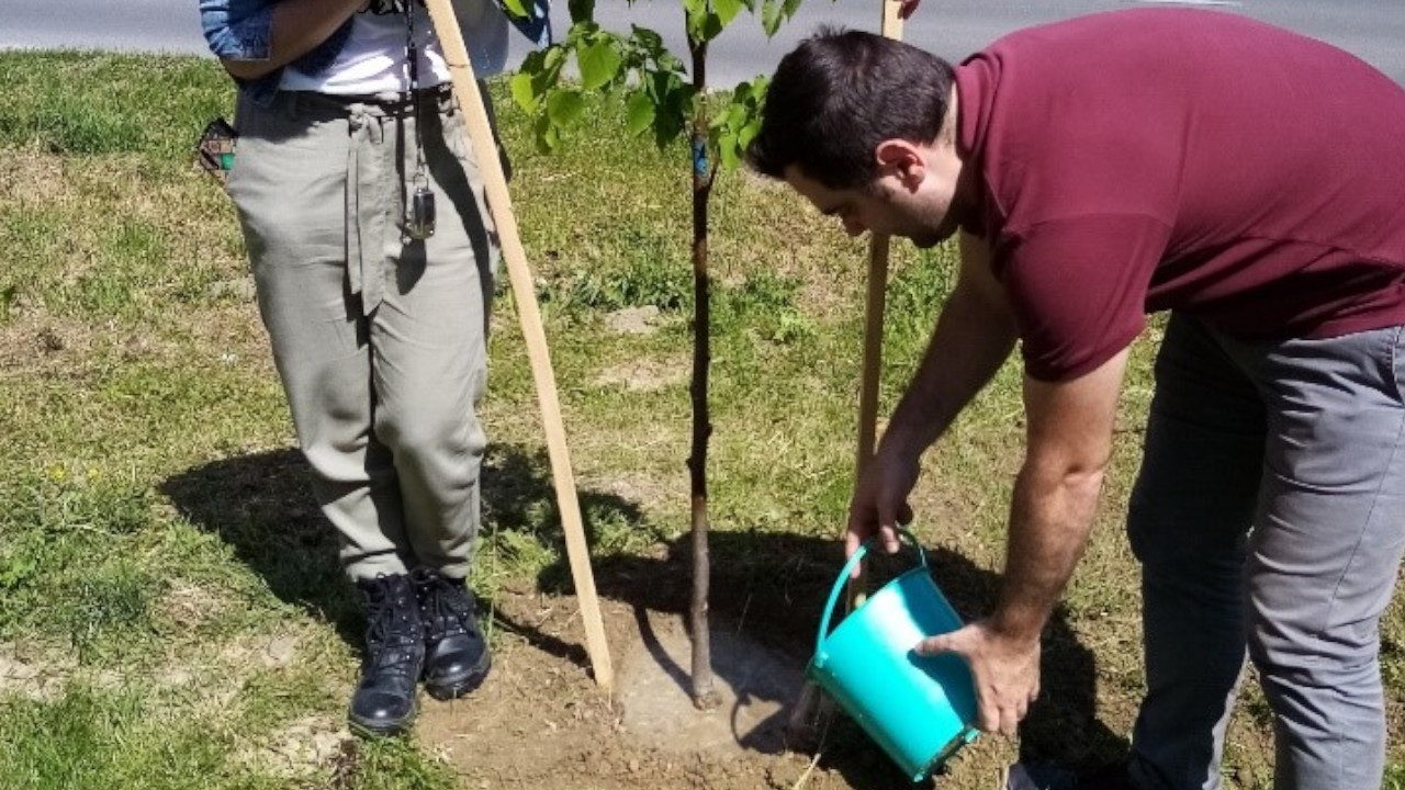 Programok a helyi identitás erősítésére, faültetés "Hagyjunk emléket magunk után!" címmel