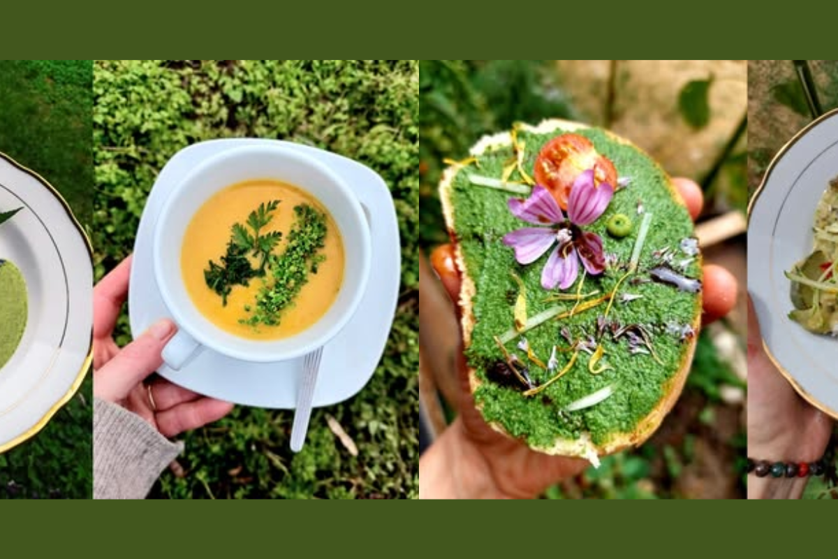 Ehető vadnövények a tányéron