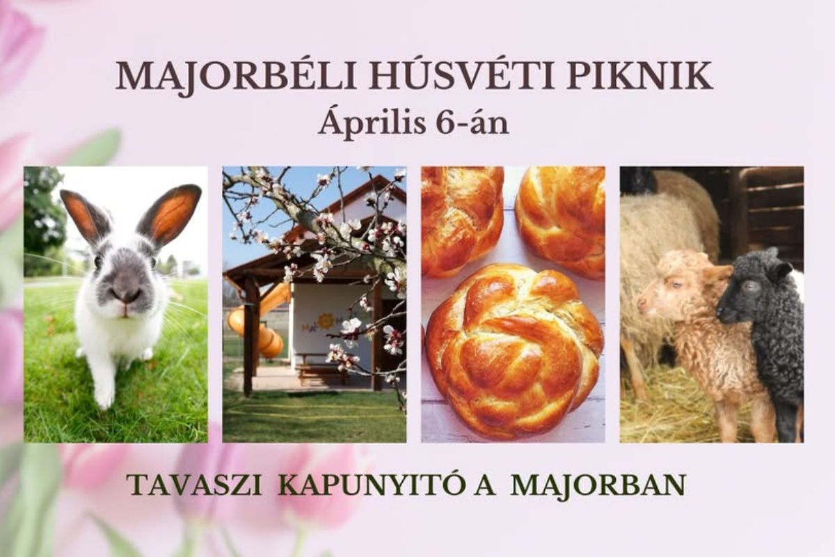 Majorbéli Húsvéti Piknik
