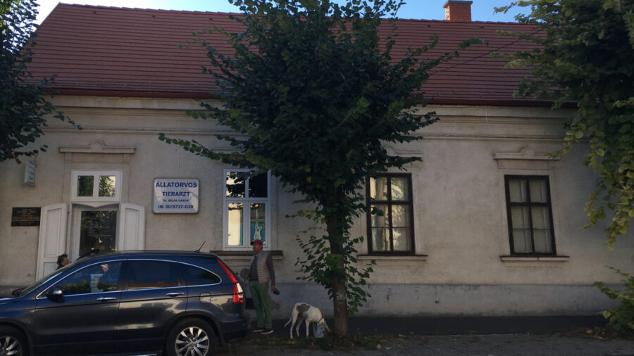 Dr. Belák Gábor állatorvos, Keszthely