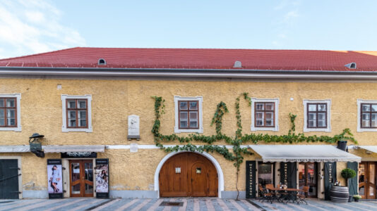 Pethő- vagy Goldmark-ház