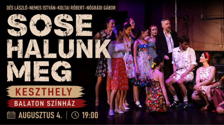 Sose halunk meg - Musical