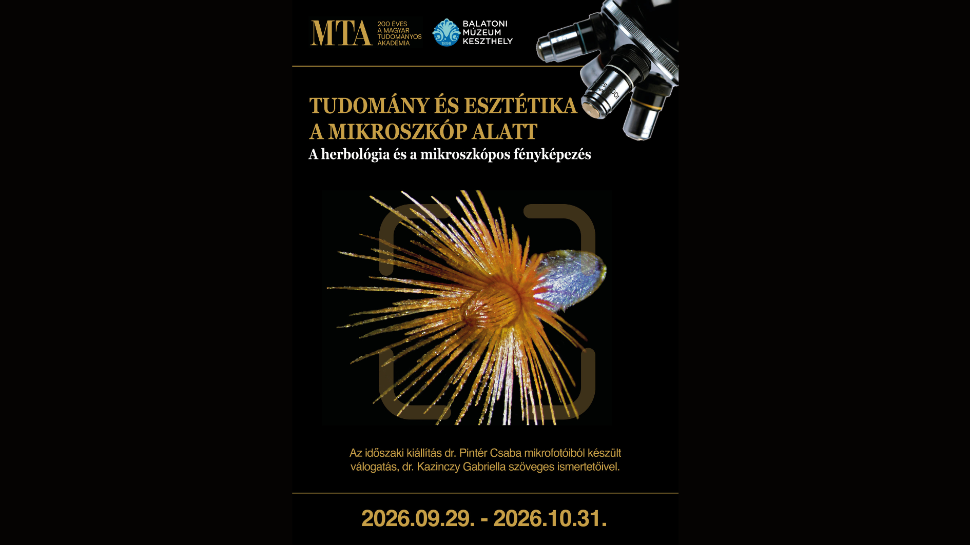 Tudomány és esztétika a mikroszkóp alatt