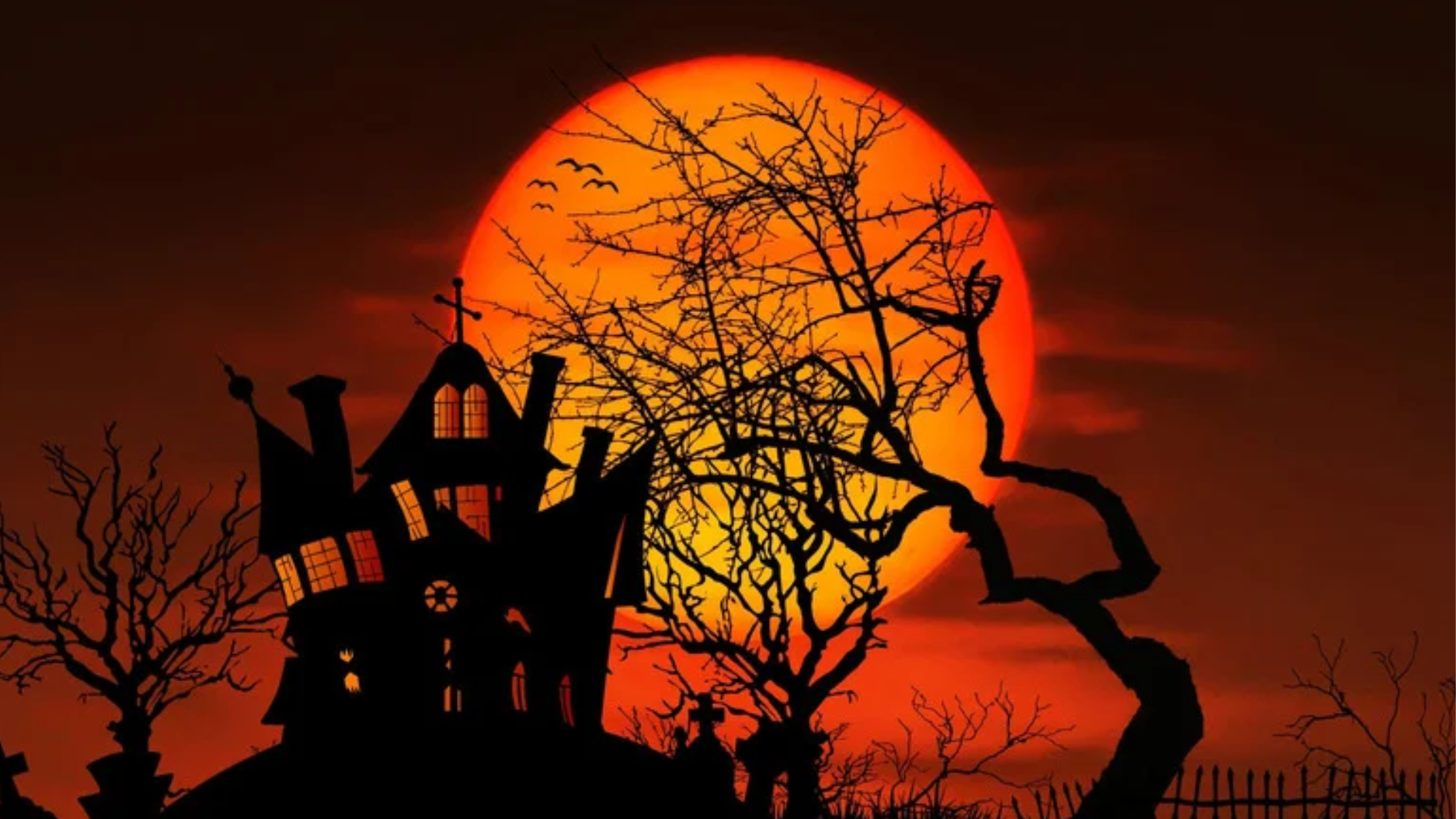 Keszthely Halloween party HajdúZoo
